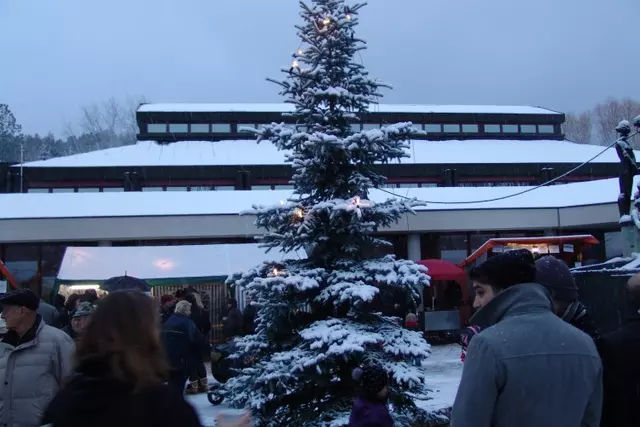 Bilder Weihnachtsmarkt 2012